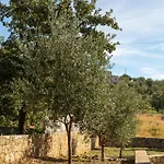 Gea Mani